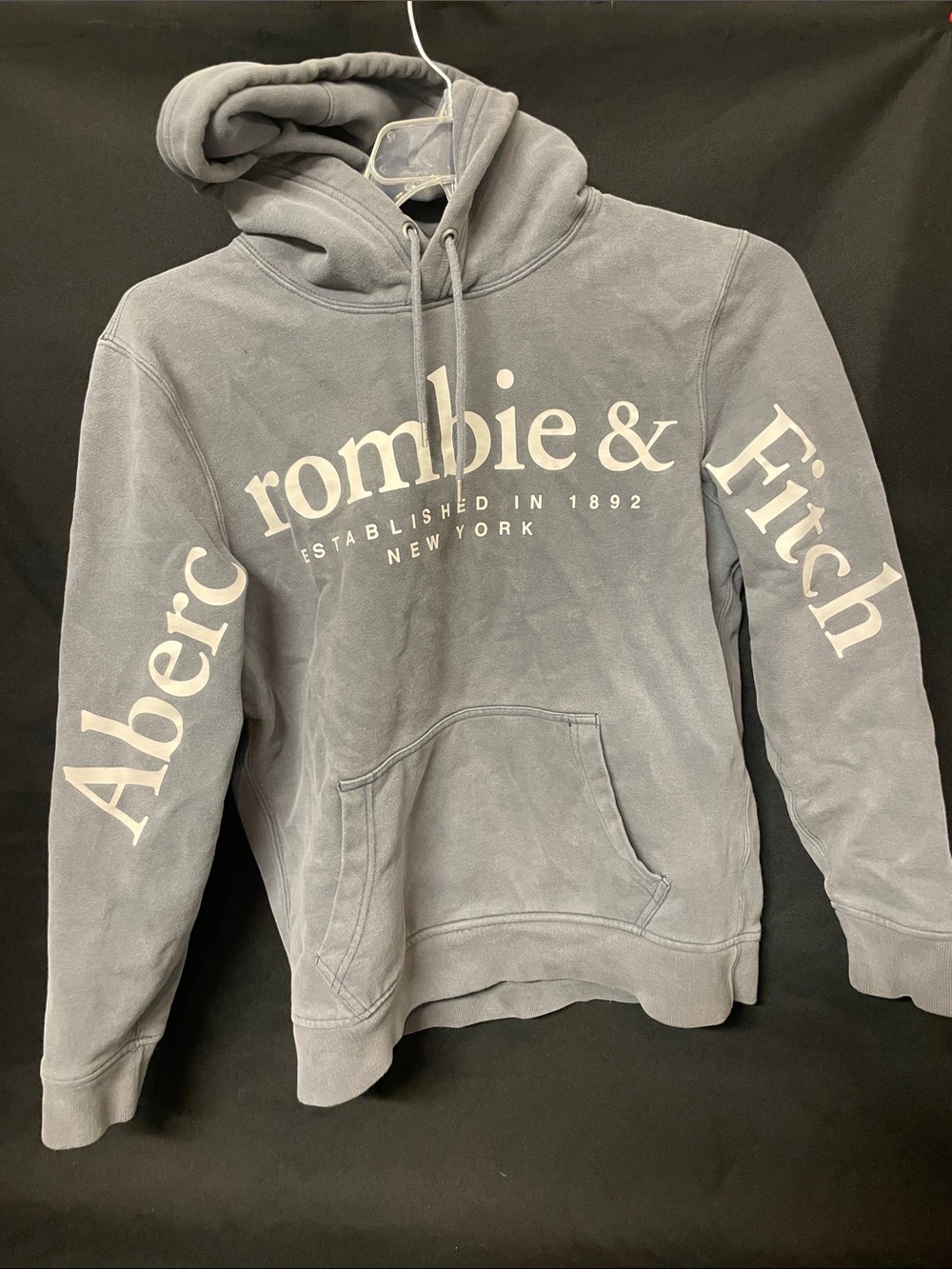 Abercrombie & Fitch Dusty Blue Logo Pullover Hoodie